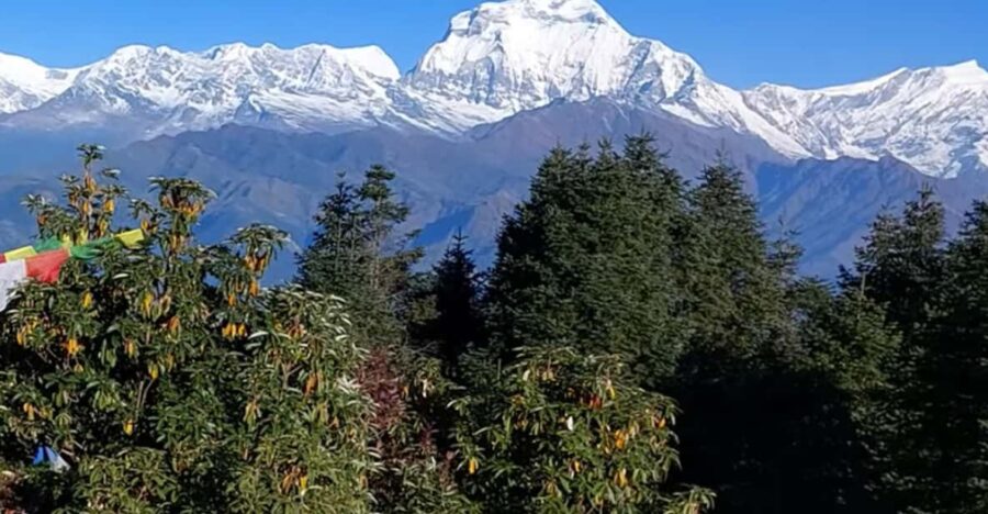 Poon Hill Trekking- 5 Days - Overview of the Trek