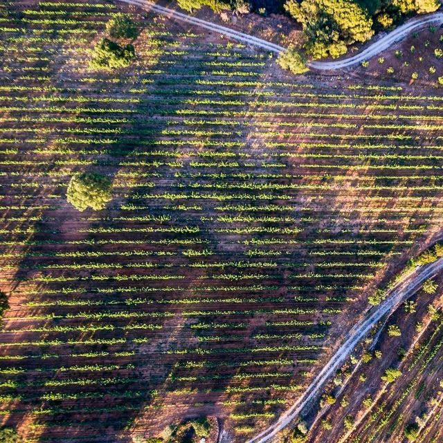 Porches: Exclusive Wine Tasting Experience - Experience Overview