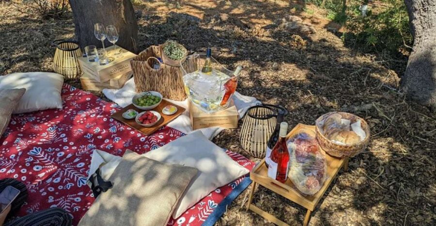 Porches: Vineyard Picnic Experience in the Algarve