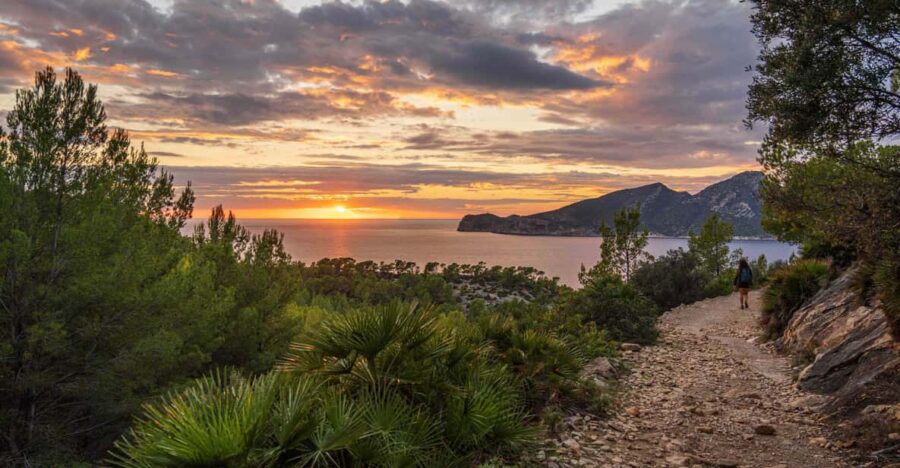 Port Andratx: Hiking Tour Into the Sunset to Sant Elm - Tour Overview