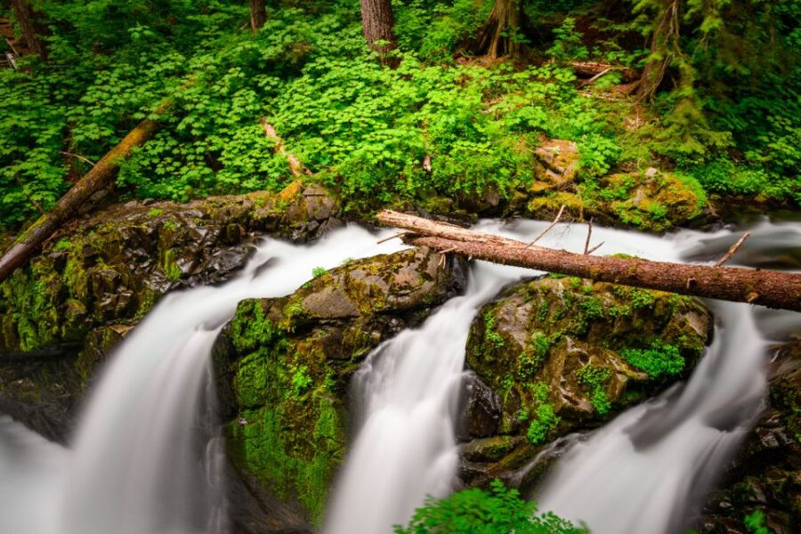 Port Angeles: Olympic National Park Driving Audio Tour