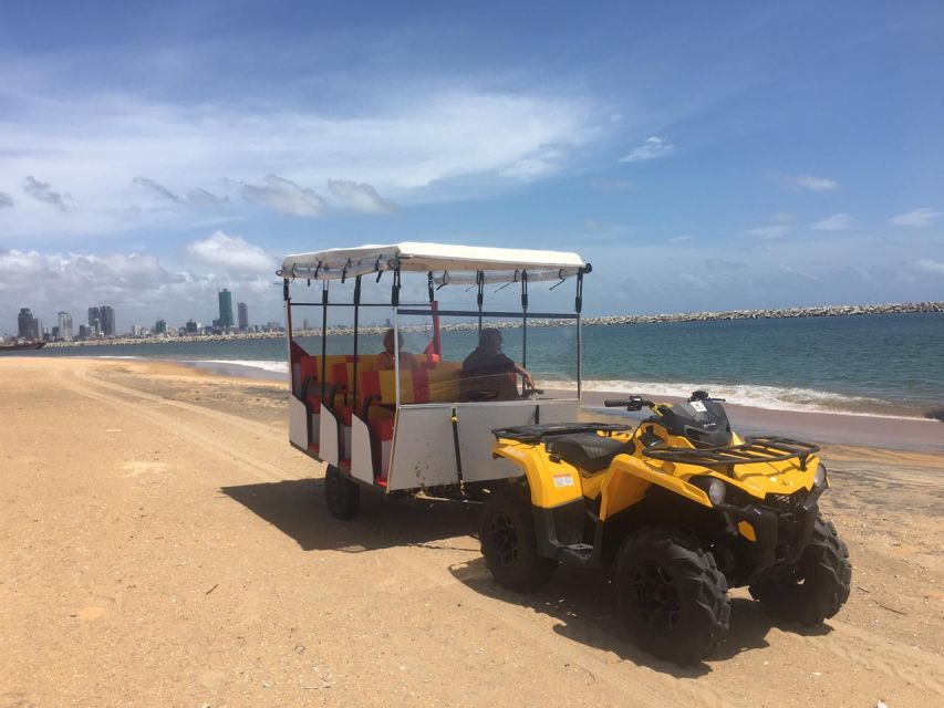 25 Best Safari Tours In Colombo