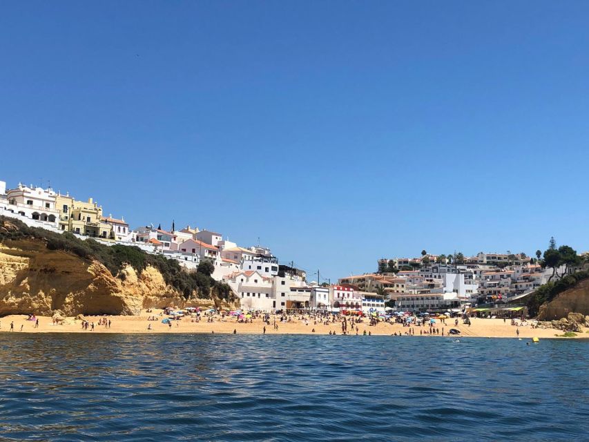 Portimão: Dolphin Watching on the Algarve Coast