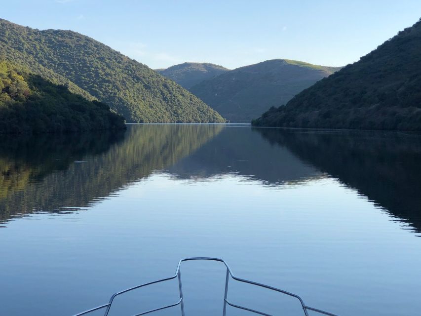 Porto: Cruise on the Douro River - Discover Island of Lovers