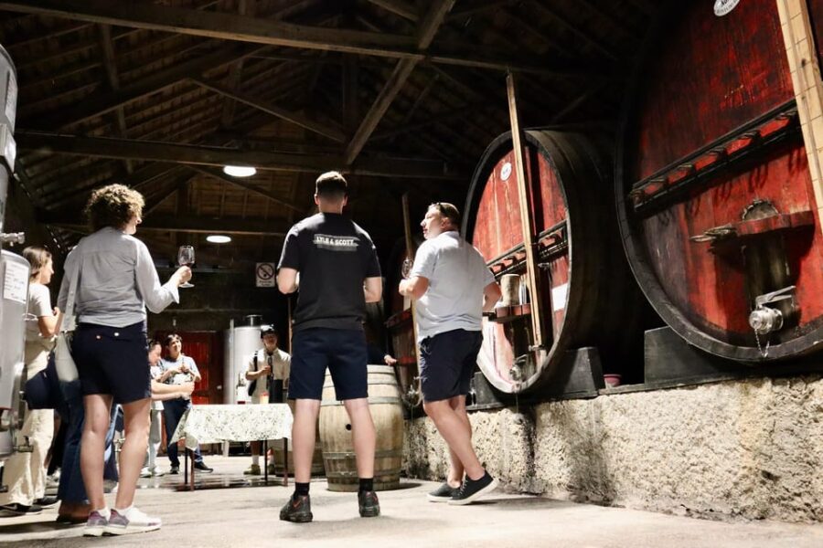 Porto: Douro Valley, 2 Wineries, Lunch & Private Boat Trip