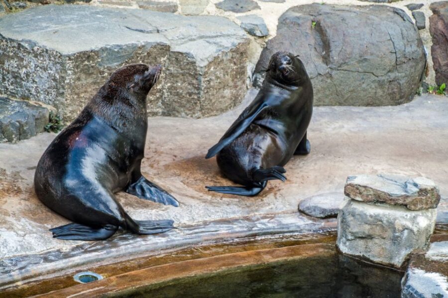 Prague: Boat Ride to the Zoo and Admission Ticket