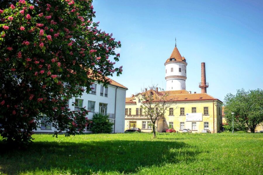Prague: Psychiatric Hospital and Abandoned Cemetery Tour