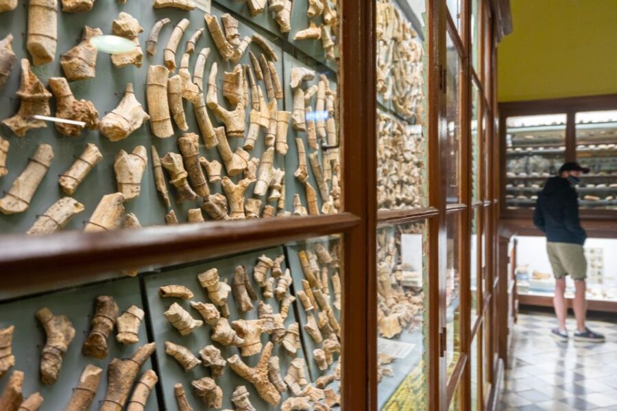 Prehistoric Temples of Malta Tour