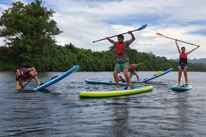 Private 1.5 - 2 Hour Morning SUP Class for All Ages and Levels