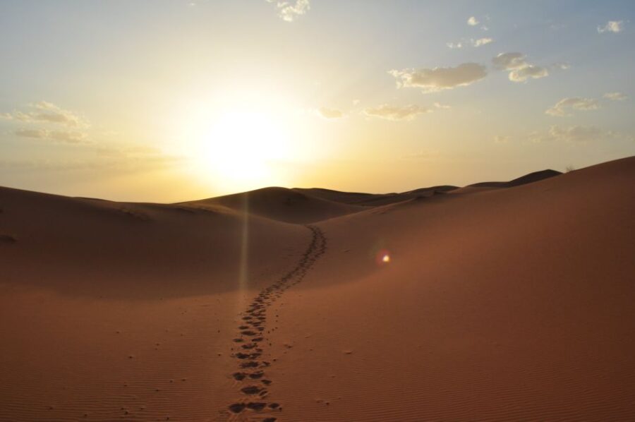 Private 2-Day Desert Trip With Camping & Camel Trekking