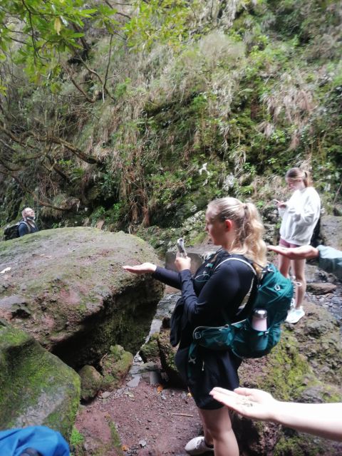 2 Best Tours In Calheta Madeira