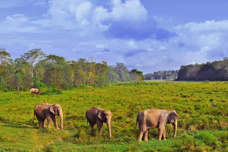 Private 3-Day Chitwan Safari Tour