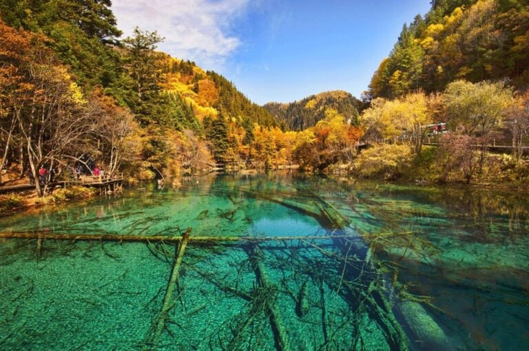 Private 5-Day Amazing Trip: Chengdu and Jiuzhaigou