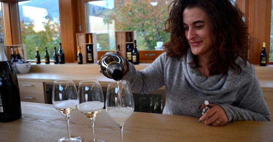 Private 7-Hour Prosecco Wine Tour From Venice - Tour Overview and Pricing
