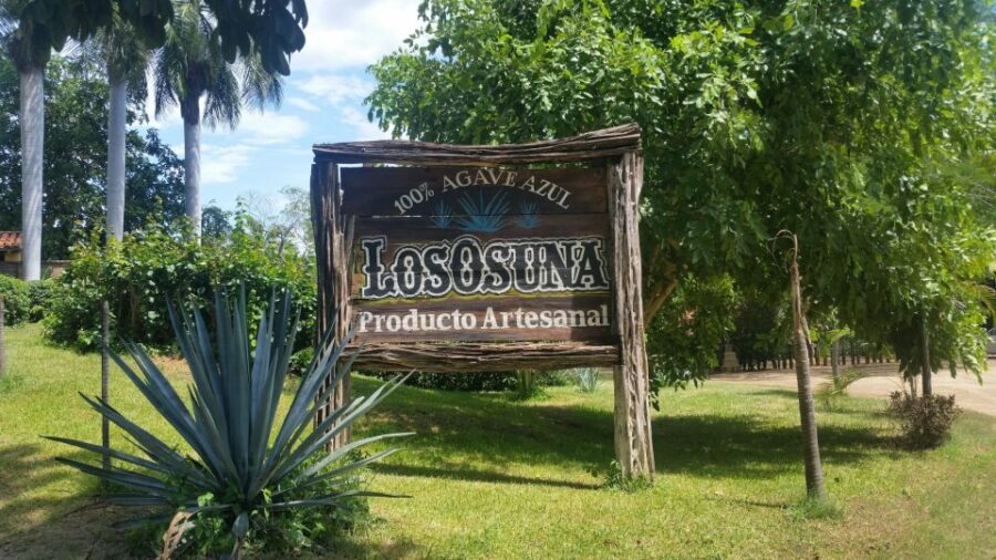 Private Colonial Tour Tequila and the Noria - Tour Overview and Pricing