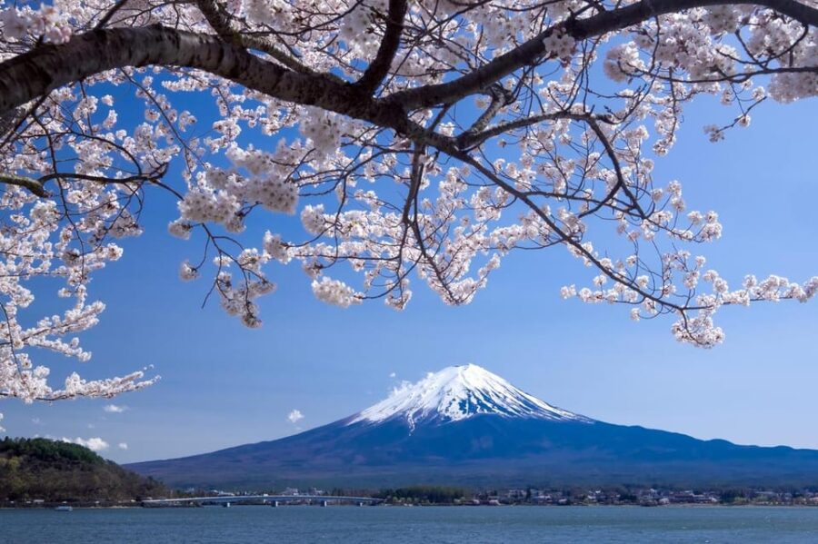 Private Customized Tour in Mount Fuji