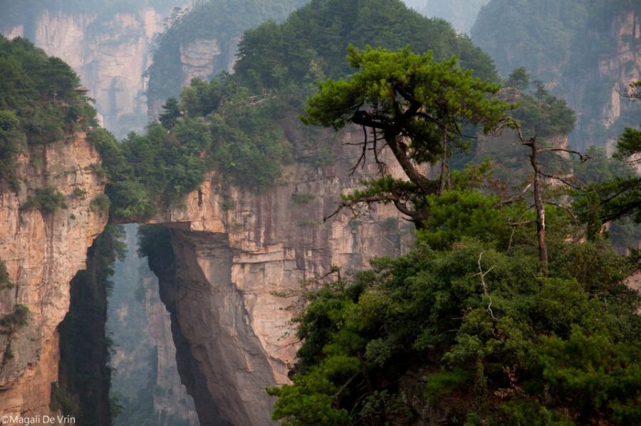 Private Cycling Day Trip to Zhangjiajie Fairy Stream - Tour Experience and Highlights