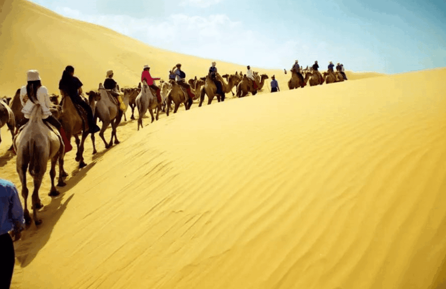 Private Day Tour to Ningxi Shapotou Desert With Fun Time
