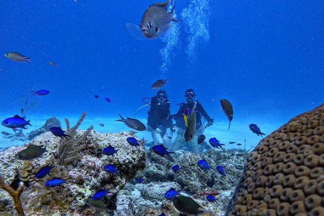 Private Diving Experience for Beginners in San Andres Islands - Included Services