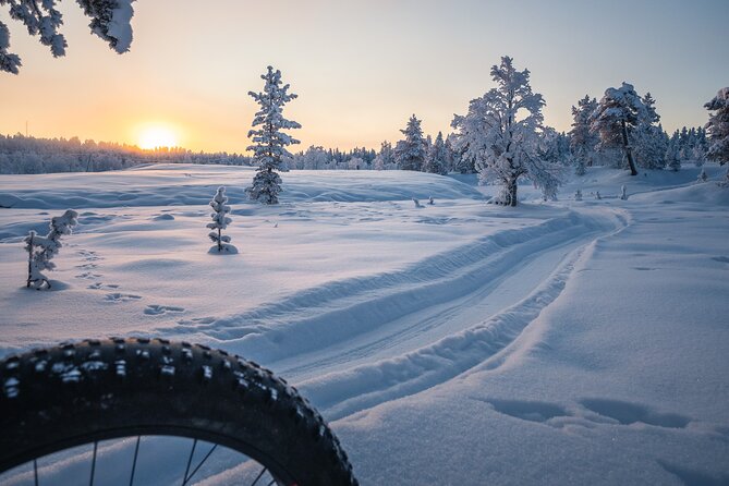 Private Electric Fat Bike Tour in Saariselkä