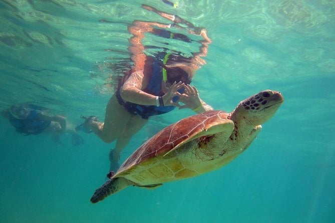 Private Experience: Akumal Sea Turtles Encounter and Yal-Kú Lagoon Colorfull Fish Snorkel. - Inclusions
