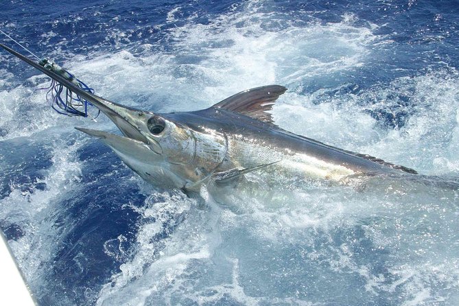 Private Fishing in St Lucia Charters