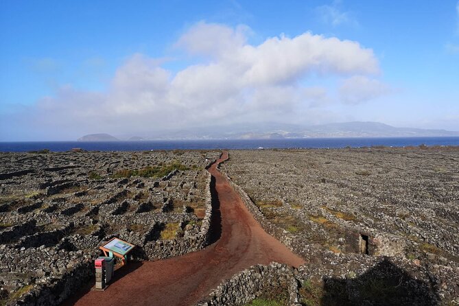 Private Full Day Visit to Pico, a First Impression