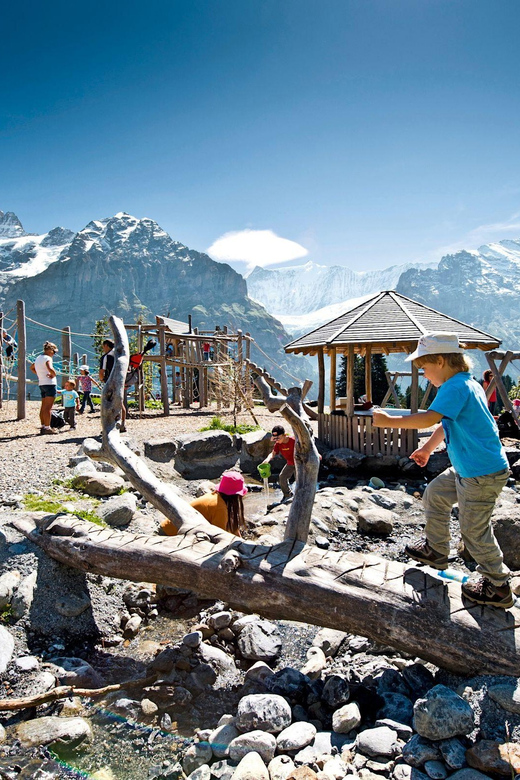 7 Best Guided Tours In Interlaken