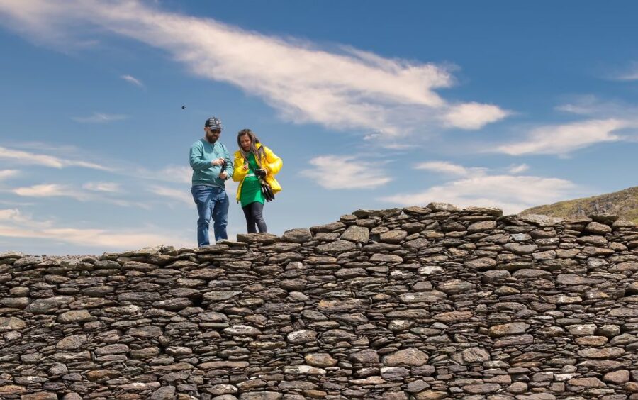 Private Luxury Full-Day Ring of Kerry Tour From Killarney - Tour Overview
