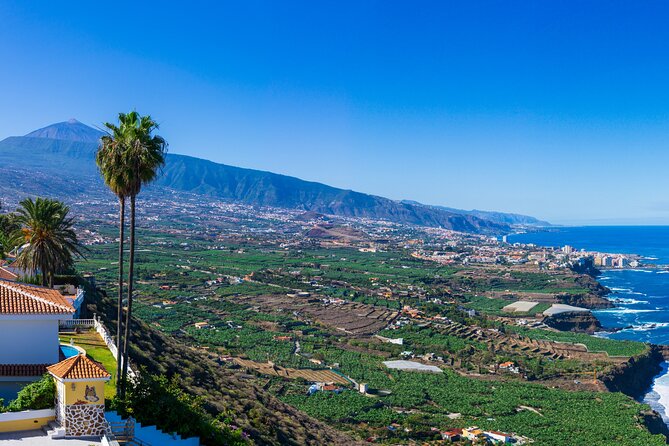 Private Nature and Culture Tour of Teide and Northern Tenerife