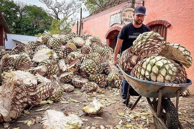 Private One Day Adventure Tour in Tequila and La Fortaleza Distillery - Inclusions