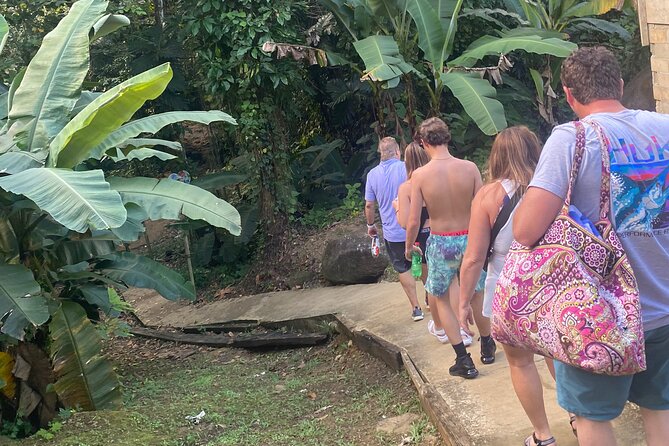 5 Best Tours In Luquillo