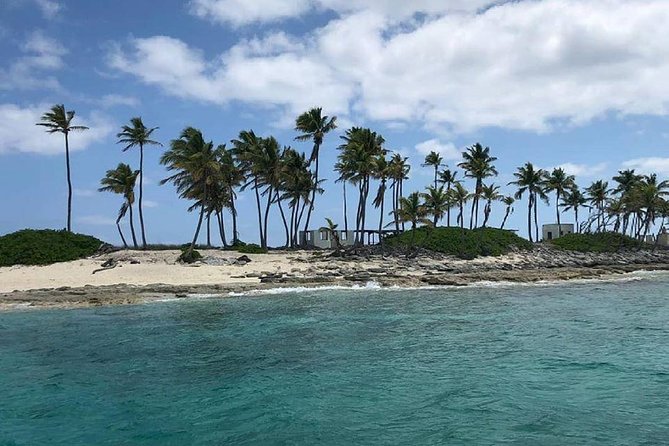 Private Rose Island Half Day Charter With Swimming Pigs