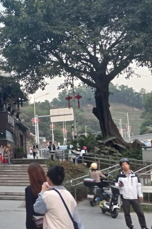 Private Shenzhen Day Tour From Hong Kong