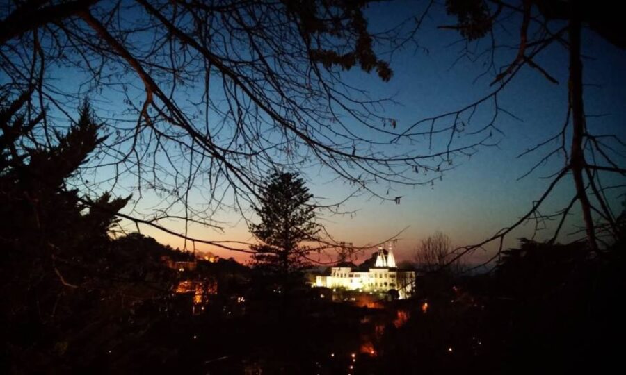 Private Sintra Night Walk: Dreams in the Woods - Activity Overview