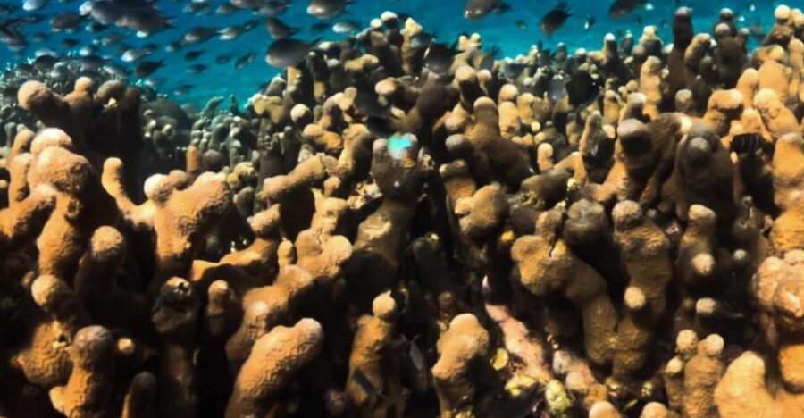 Private Snorkeling Tour Gili Trawangan, Gili Meno, Gili Air - Pickup and Drop-off Locations