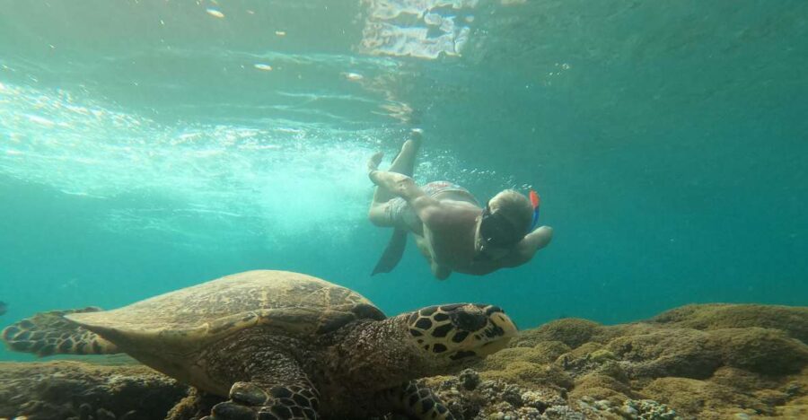 Private Snorkeling Trip