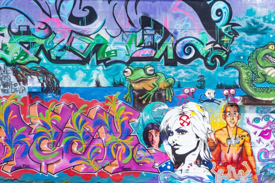 Private Street Art Tour in Miami - Tour Overview