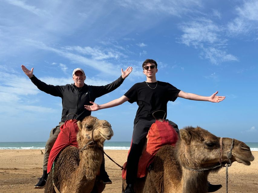 Private Tangier Tour From Ferry /Cruise Ship Including Lunch - Tour Overview and Pricing