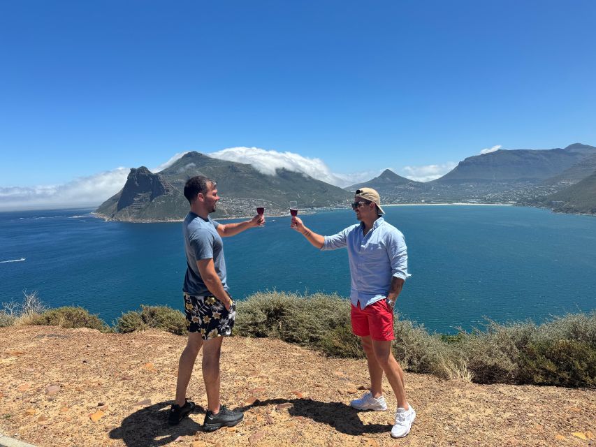 Private Tour: Cape Point, Penguin Beach, Chapmans Peak &more
