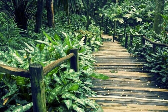 Private Tour: Hot Spings & Sleeping Giant Garden Hiking Adventure - Tour Overview