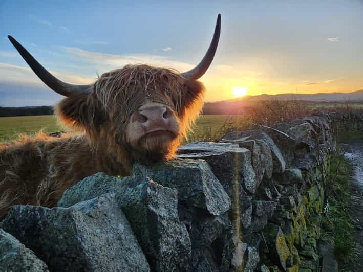 Private Tour of Highlands, Lochs & Castles From Stirling
