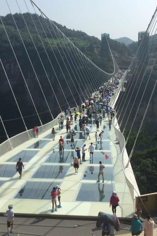 Private Tour of Zhangjiajie Grand Canyon With Glass Bridge