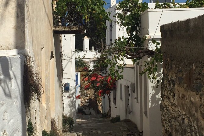 Private Tour on Paros Island