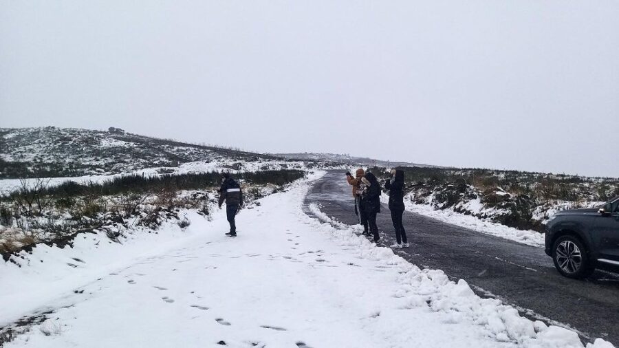 Private Tour Through Serra Da Estrela and Its Famous Cheese