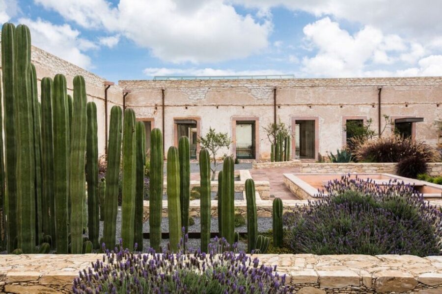 Private Tour to Mineral De Pozos From Guanajuato City