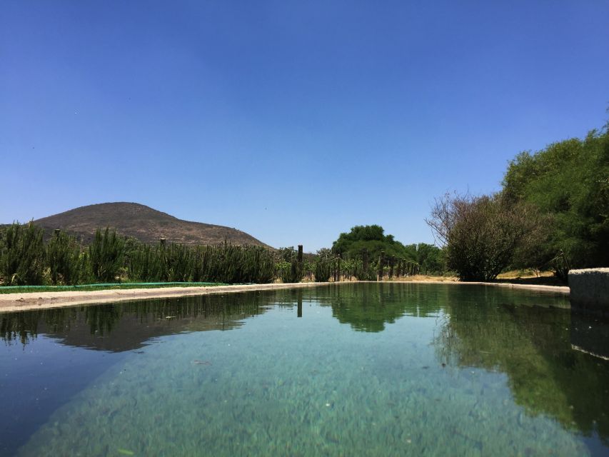 Private Tour to Peña De Bernal & Freixenet Winery From CDMX - Tour Overview