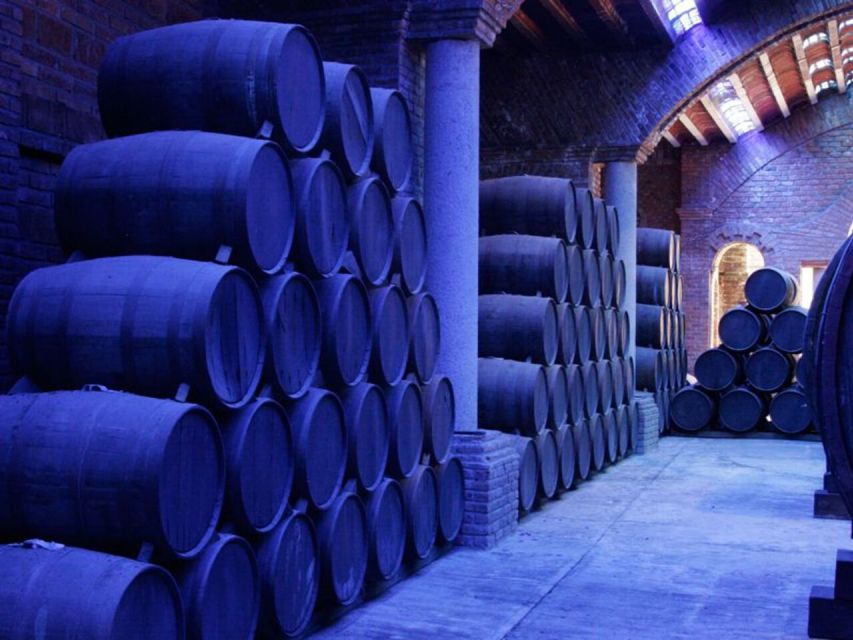 Private Tour to Tequilera Corralejo and Archaeological Zone
