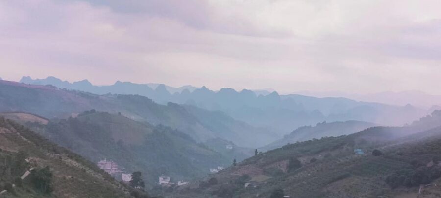 Private Tour-Yangshuo Seven Fairies Peak Tea Plantation