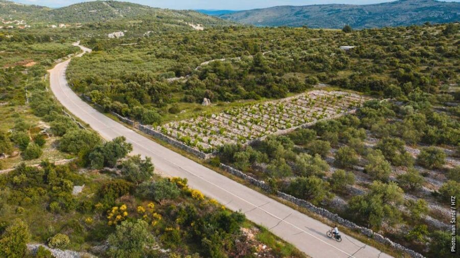 Private Transfer From Split Airport to Makarska